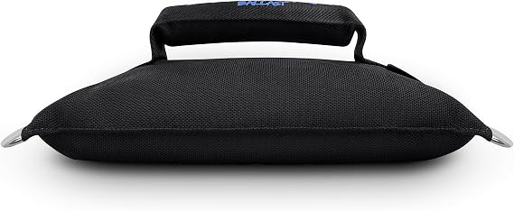 Bag for Wake Surfing, or Wakeboarding, Boat Weight Bags for Boosting Wake, Prefilled With Fine Recycled Steel Shot, Easy to Handle (Sizes 25lb or 50) (D-Ring, 25 LB)