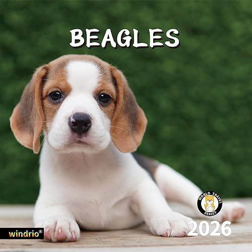 Calendario de pared 2026, calendario 2026, noviembre de 2025 a diciembre de 2026, calendario de pared Beagles, 12 x 24 pulgadas abierto, página