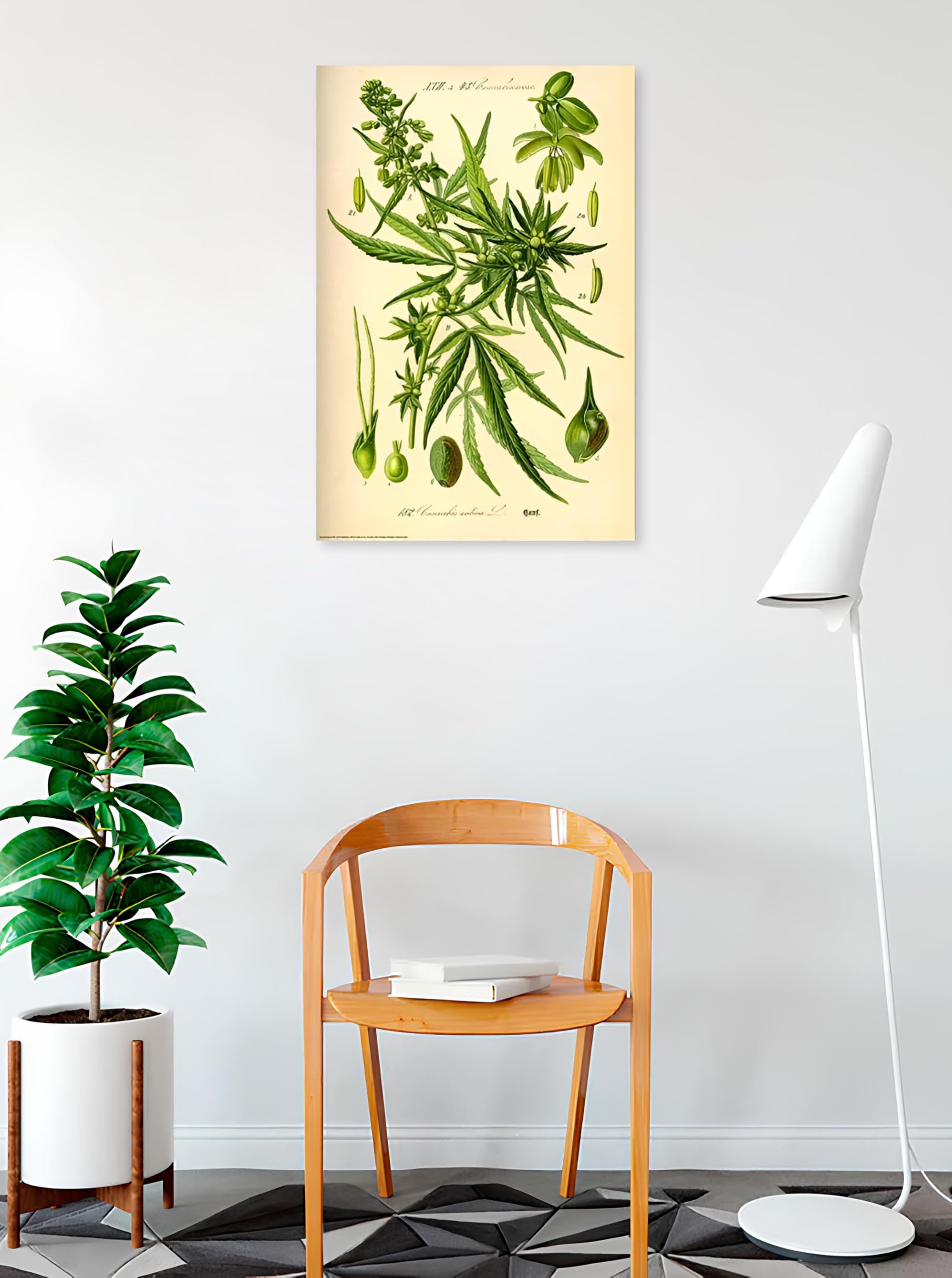 Amazon.co.jp: Buyartforless 大麻サティバ ボタニカルイラスト 36x24 
