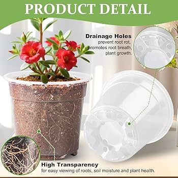 Amazon.co.jp: RooTrimmer 60個パック 6インチ クリア育児用ポット