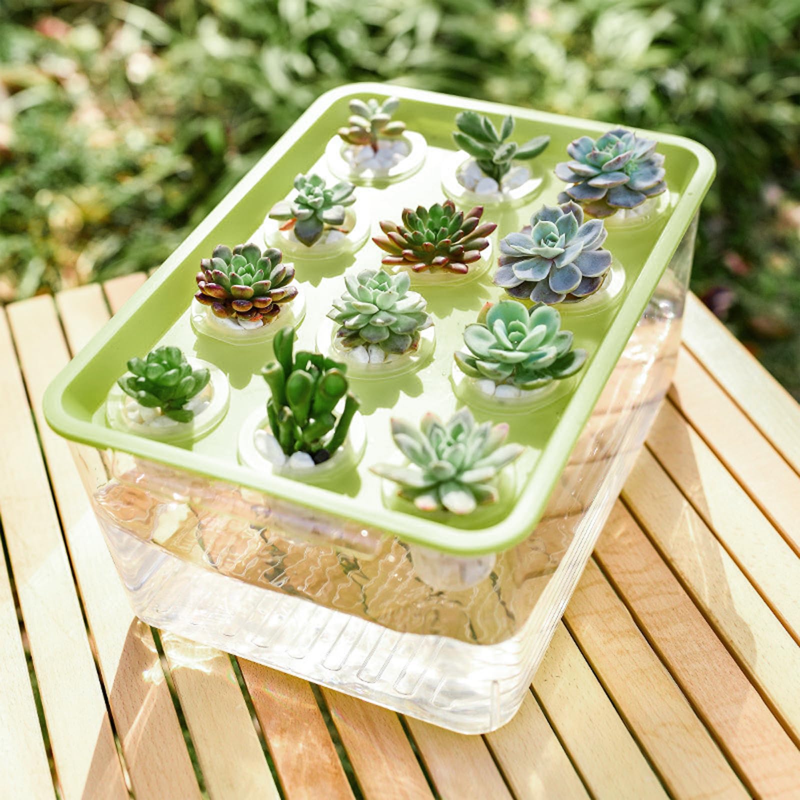 Pflanzen-Anzuchtstation Hydrokultur-Pflanzkasten, 12 Löcher, transparentes Aquaponik-Anzuchtsystem mit grünem Deckel, für Zuhause, Balkon, oder Desktop-Dekor