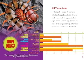 Centipedes (Crawly Creatures)