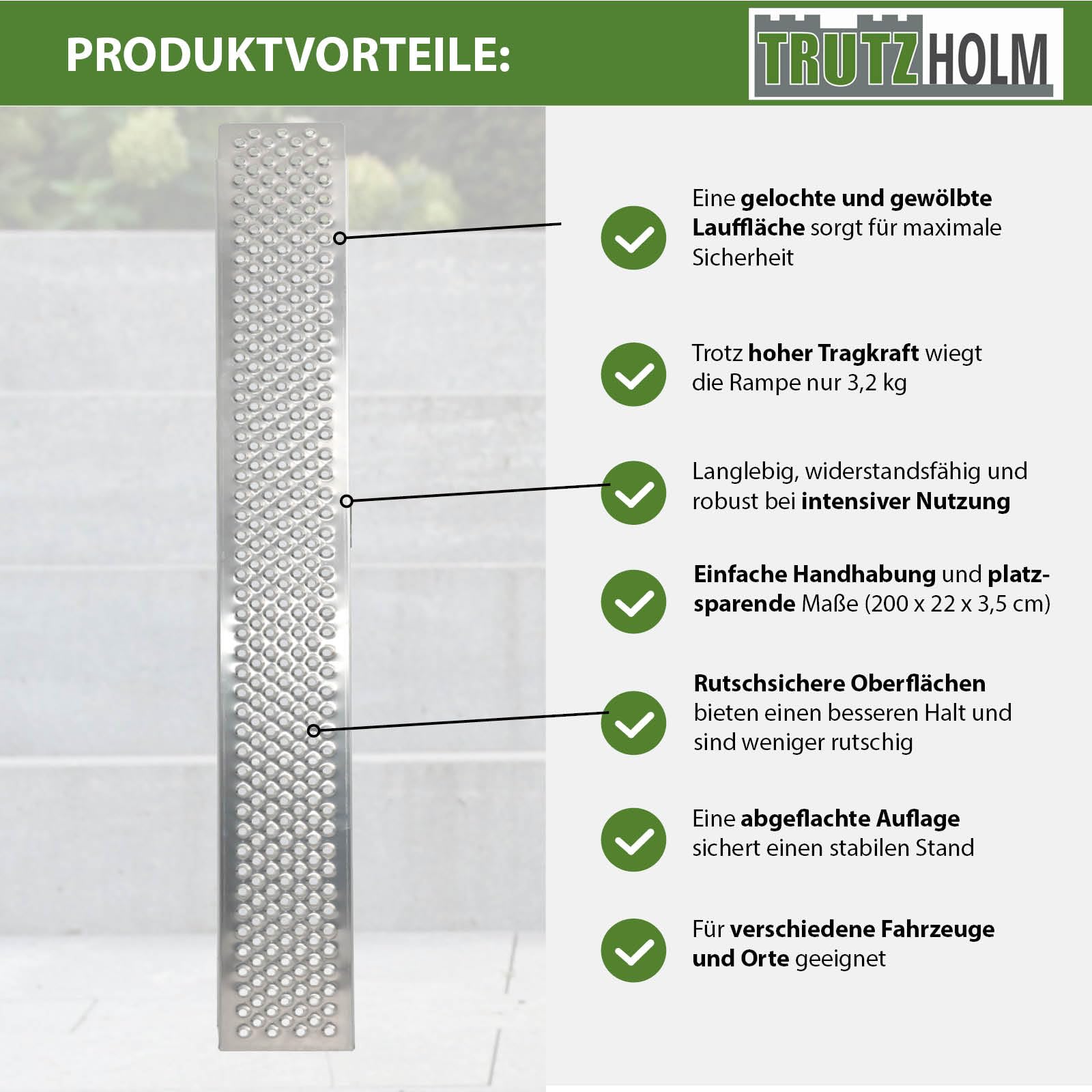 TRUTZHOLM Auffahrrampe Aluminium Länge 200 cm Auffahrbreite 22 cm Tragkraft 200 kg gelochte Lauffläche Rampe starr für Fahhrad E-Bike Motorradrampe für leichte Motorräder Mopeds Mofas Verladerampe