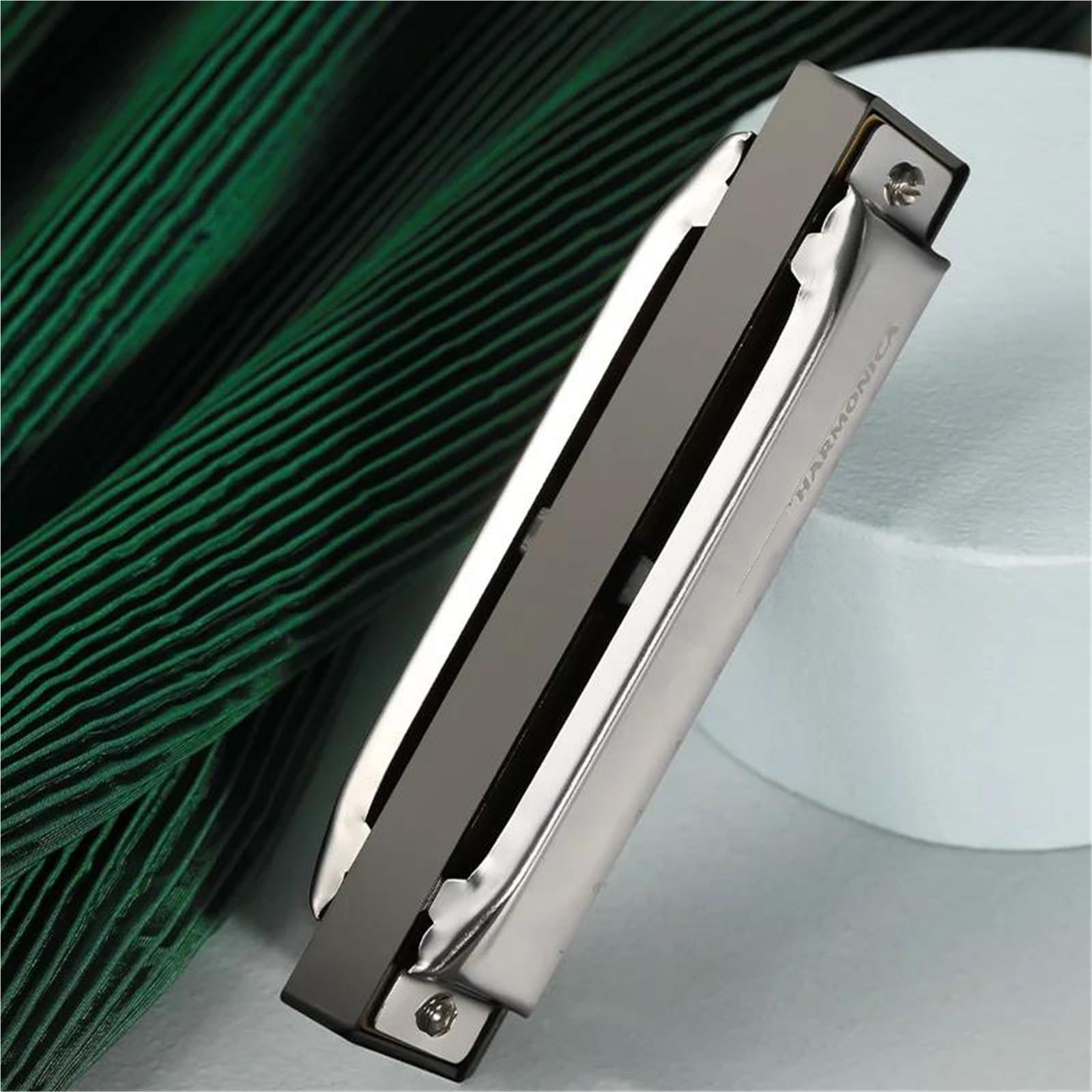 Armonica Armonica Blues A 10 Fori Per Principianti Tonalità Di Do(Silver)