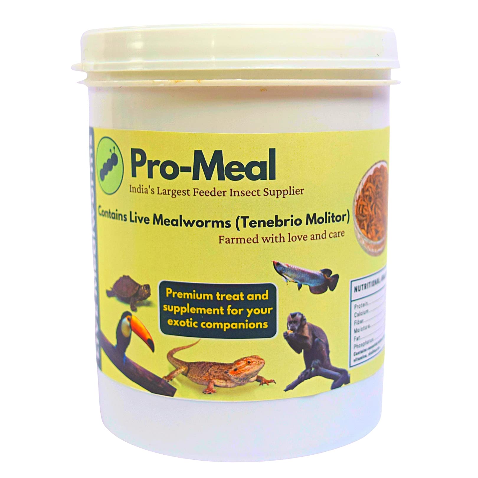 Promeal Live Larvae Mealworms High Protein Treat for Aquarium Fishes, Birds, Reptiles, Monkeys & Exotic Pets (500 Mealworms)