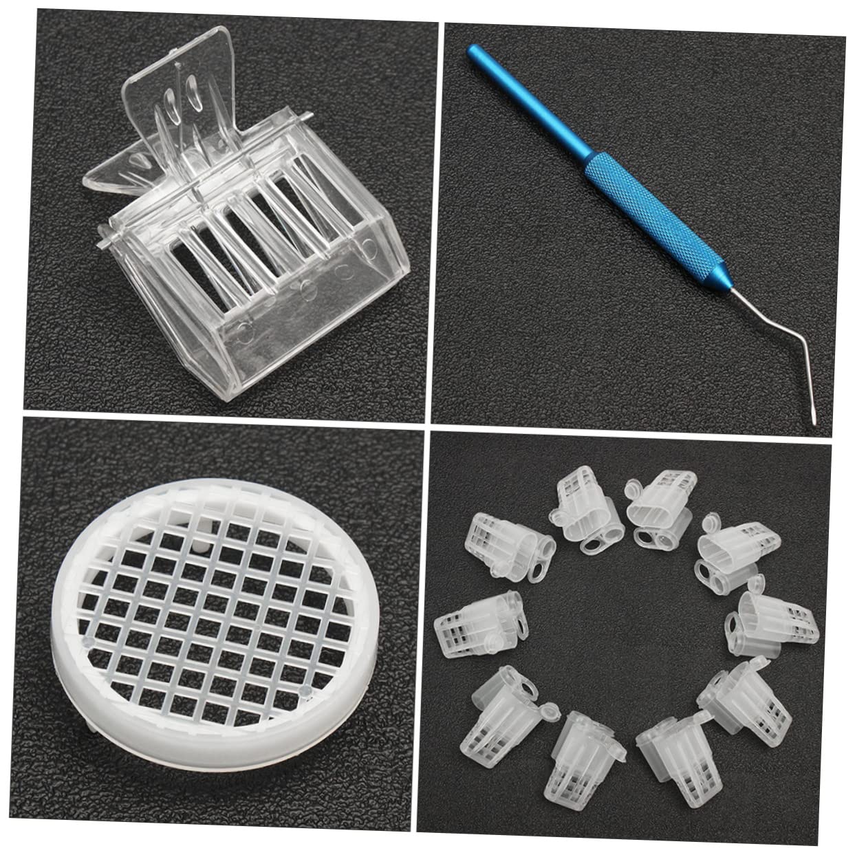 Set di Allevamento in Abs Leggero, Facile da Usare | Apicoltura, Accessorio per Api, Soluzione Pratica per Cura Dell’alveare Colore Casuale
