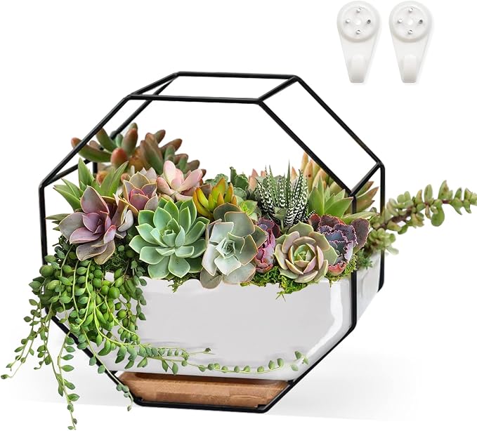 Succulent Planters 7×3.5 Inch Decorative Ceramic Flower Plant Pots with Metal Holder Hanging and Place Dual-Purpose Garden Planter Pot with Drainage and Saucer for Indoor Home Office Desktop