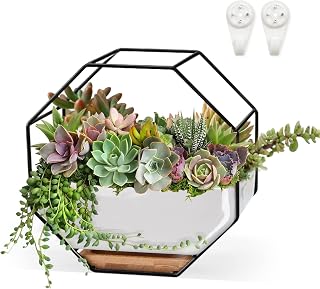 Succulent Planters 7×3.5 Inch Decorative Ceramic Flower Plant Pots with Metal Holder Hanging and Place Dual-Purpose Garden Planter Pot with Drainage and Saucer for Indoor Home Office Desktop
