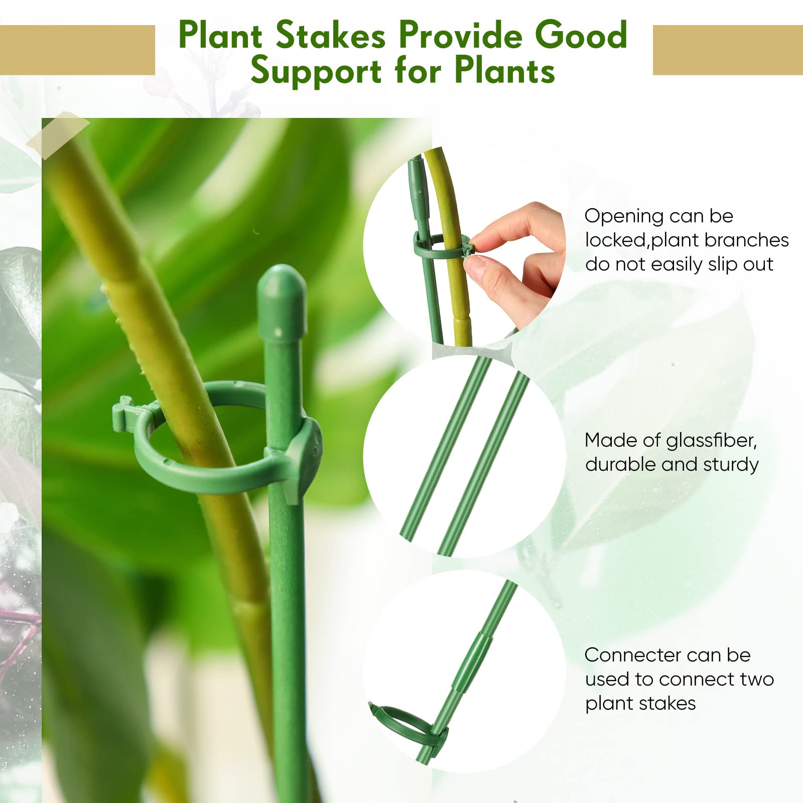meekoo Lot de 60 piquets de support réglables pour plantes de jardin avec clips et tuyau de connexion pour orchidée, rose, tomate, 30,5 cm (vert)