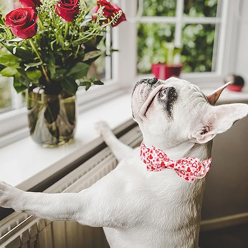 Miniatura 9 de Maca Bates - Collar de San Valentín para perro con lazo, cómodo y suave, collar de perro con hebilla de metal, ajustable, regalo para el día de San