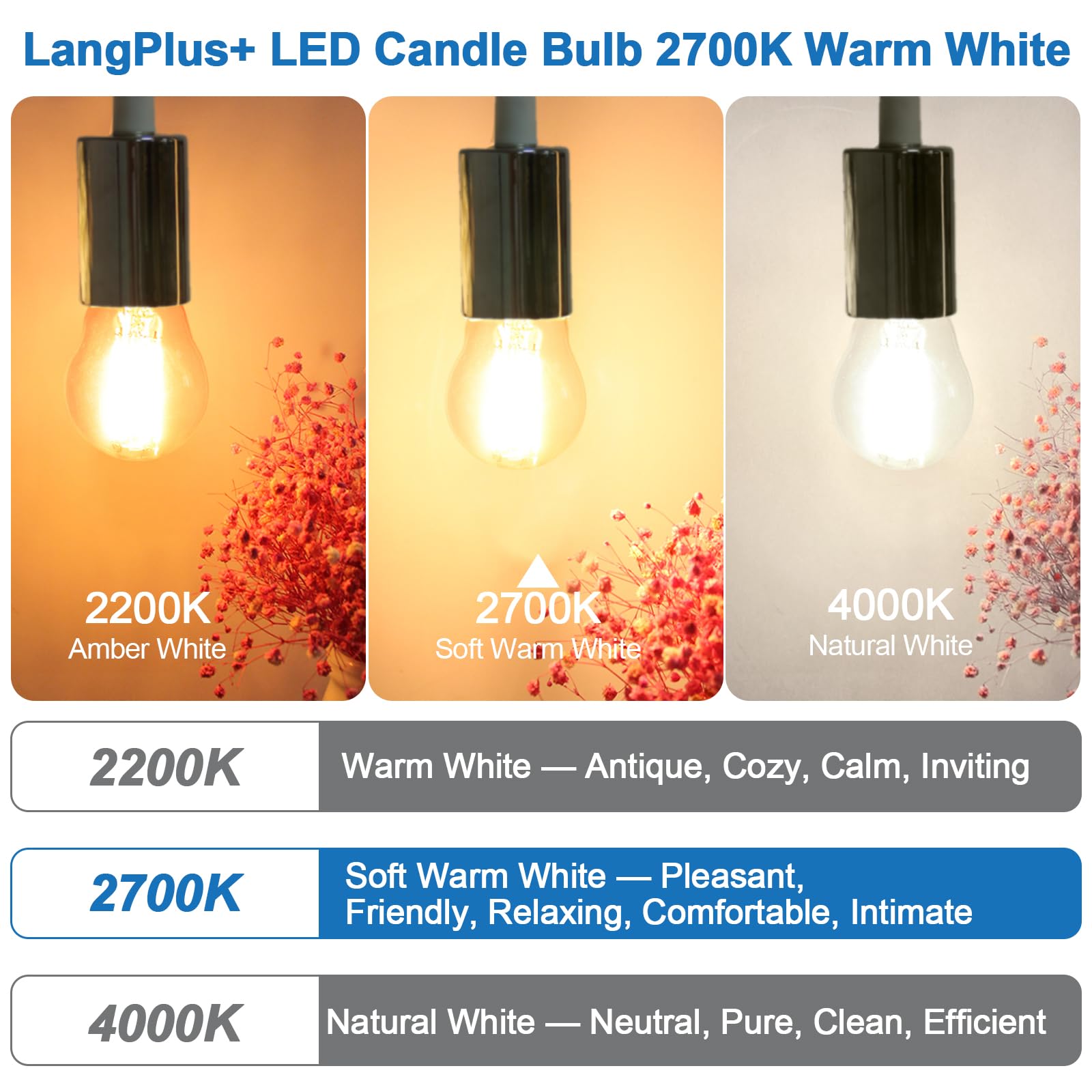 Lampadina LED E27, Lampadine Globo G45, 6W, Confezione da 10 | Equivalente 60W, Mini Lampade Dimmerabili Globo E27, Bianco Caldo 2700K, Lampadina Filamento LED per Lampadari