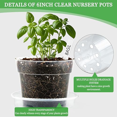 Vista 3 de BTPLASTIK Clear Plastic Nursery Pots for Plants, 6 Inch Transparent Plant Pot with Drainage Holes, Flower Pots with Saucers, Seed Starter Pots with
