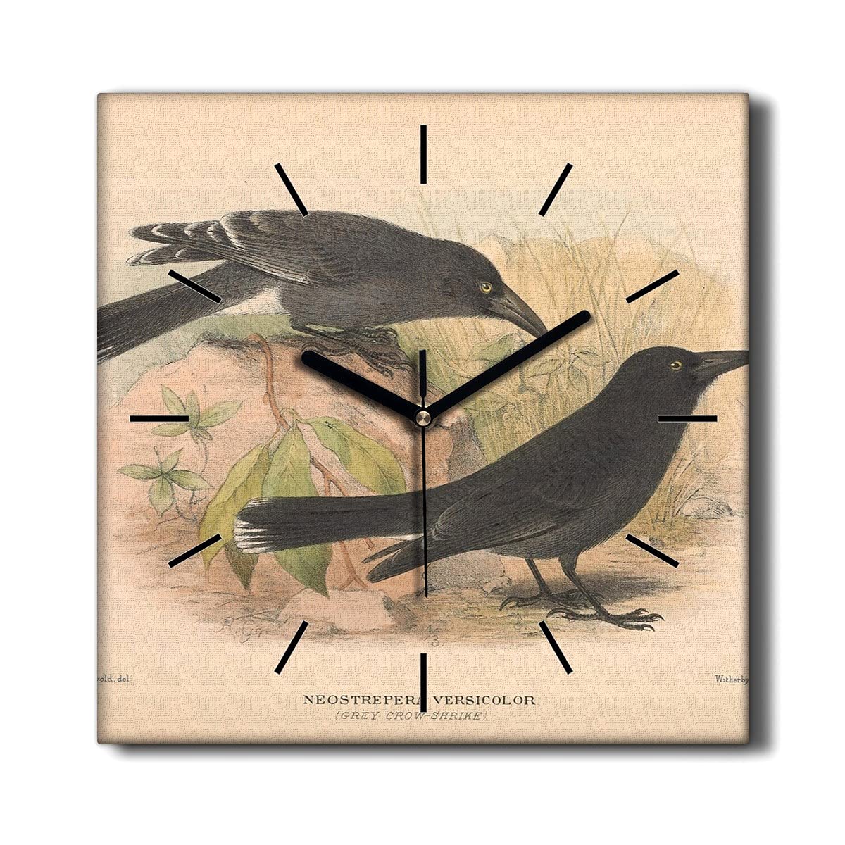 Horloge sur Toile Oiseaux sans tic-tac Décoration Murale Salon 30x30cm