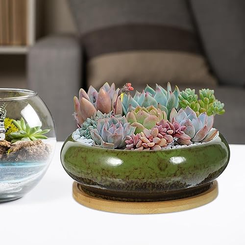 Miniatura 5 de GANAZONO Macetas suculentas para suculentas con drenaje de cerámica para bonsái con bandejas de bambú, macetas redondas poco profundas para plantas