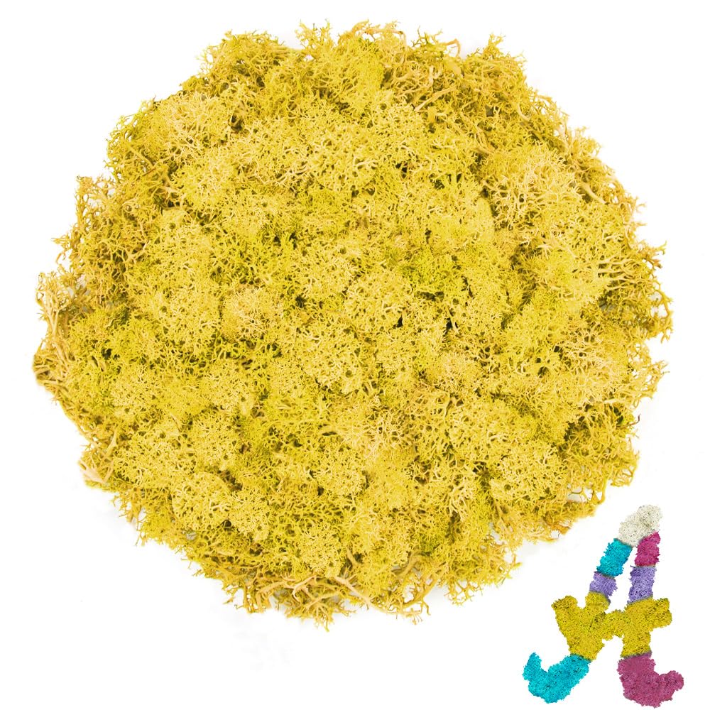 Preserved Reindeer Moss, 3.5 oz Yellow Moss for Crafts