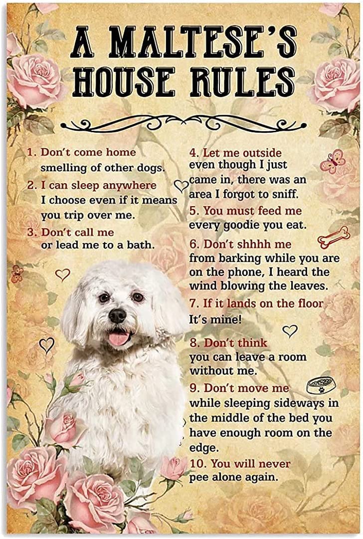 peiyeety A Maltese House Rules Vintage Tin Signage Wall Decoration for Restaurant, Cafe, Bar, Home, Courtyard Wall Metal Sign 8"x12"