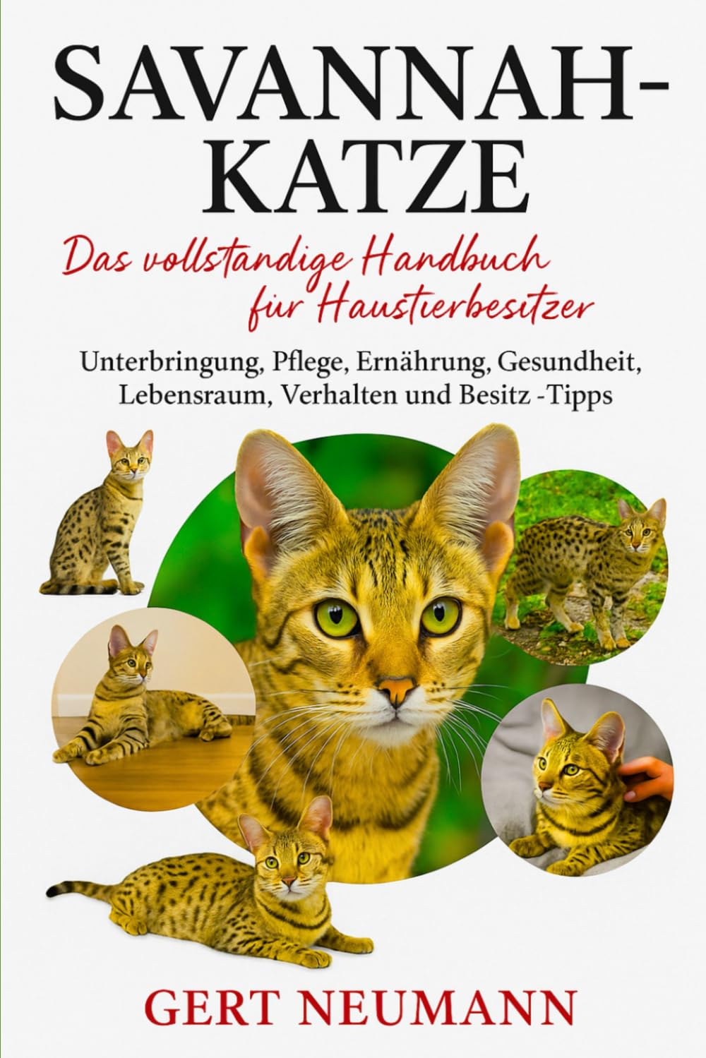 Savannah-Katze Das vollständige Handbuch für Haustierbesitzer: Unterbringung, Pflege, Ernährung, Gesundheit, Lebensraum, Verhalten und Besitz – Tipps