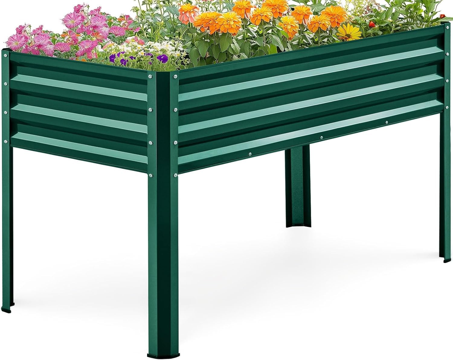 KING BIRD Raised Garden Bed