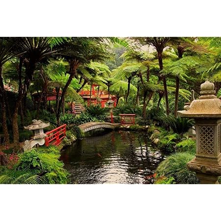 Amazon Co Jp 日本庭園の壁紙 世界の壁紙 キャンバス ステッカー 印刷 壁紙ポスター はがせるシール式 写真 特大 絵画 壁飾り75cmx50cm ホーム キッチン