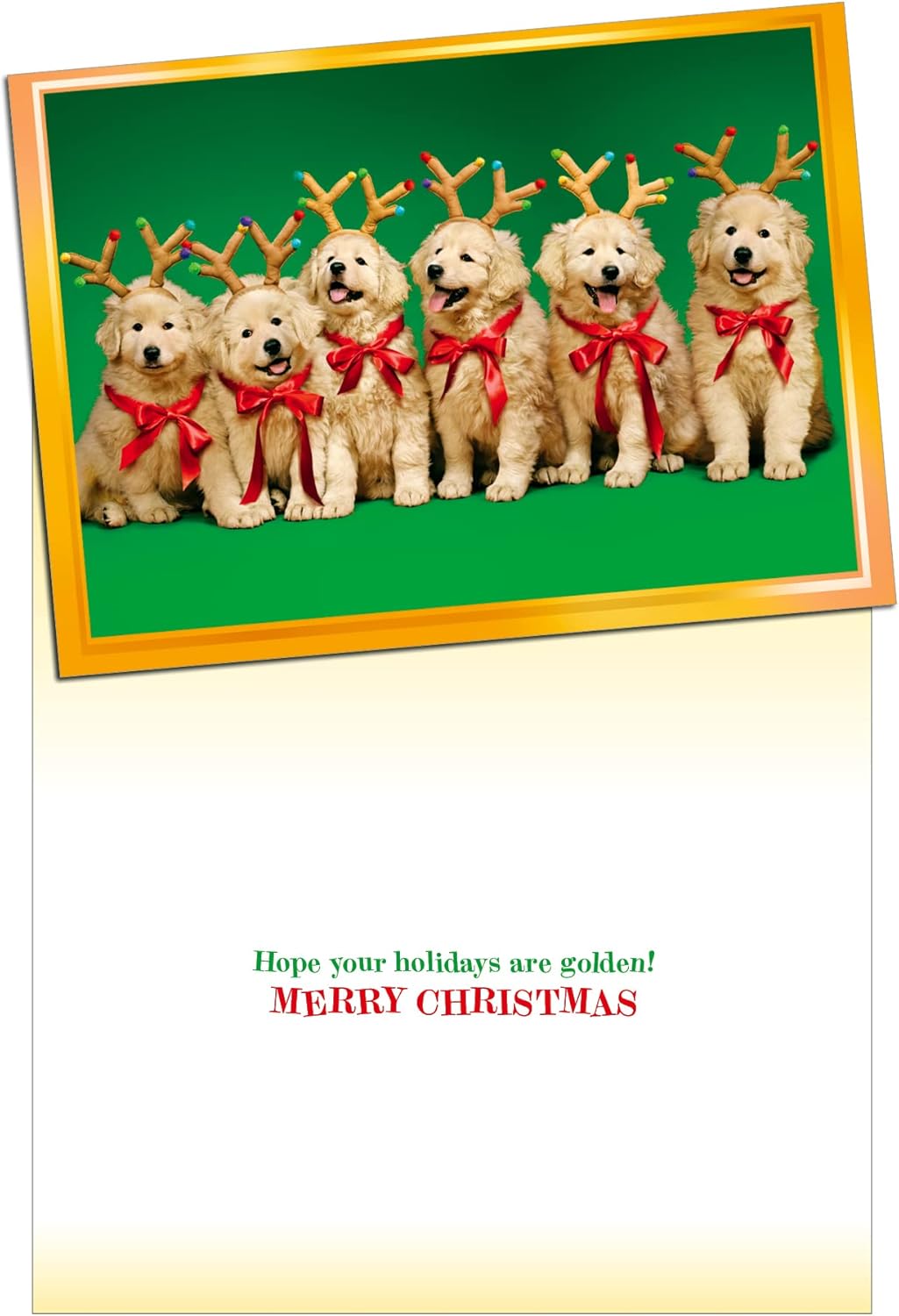 Christmas Cards with Holiday Envelopes, Row of Reindeer Puppies, Pack of 10, Multi (33017)