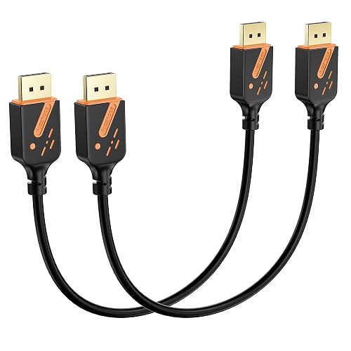 RyzzRooa DisplayPort 1.2 Cable 1FT 2-Pack
