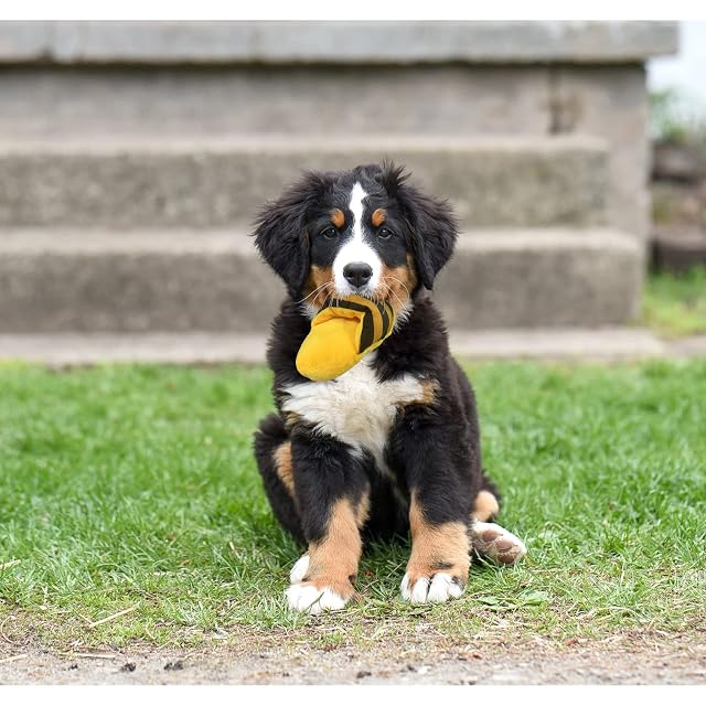 Foto 5 de 7 de FuninCrea Juguetes para Perros Cachorros