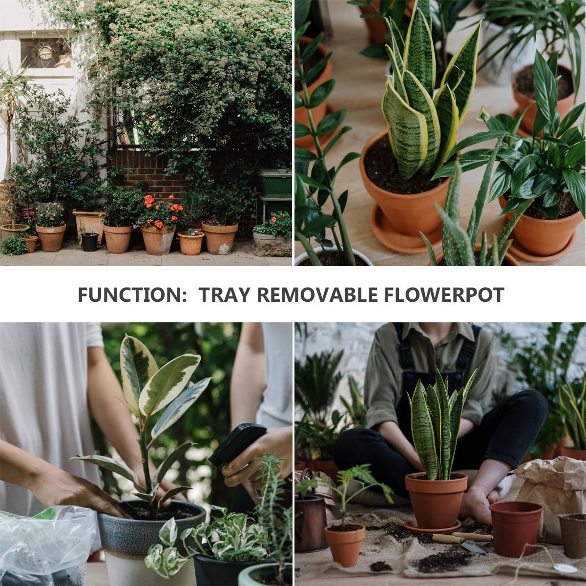 Rolling Plant Stand with Wheels and Metal Tray 30x30cm Black Iron Plant Dolly for Indoor and Outdoor Heavy-Duty with Movable Casters