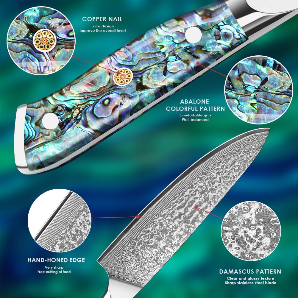 Home Safety Coltello Damasco da Chef con Lama Estremamente Affilata da 20 cm in 67 Strati di Acciaio Damasco VG-10 Coltello da Cucina Damasco da Carne, Manico in Abalone, Confezione Regalo