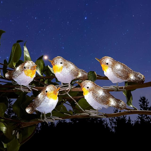 Robin Lights - 5 Piece Indoor/Outdoor Christmas Decorations