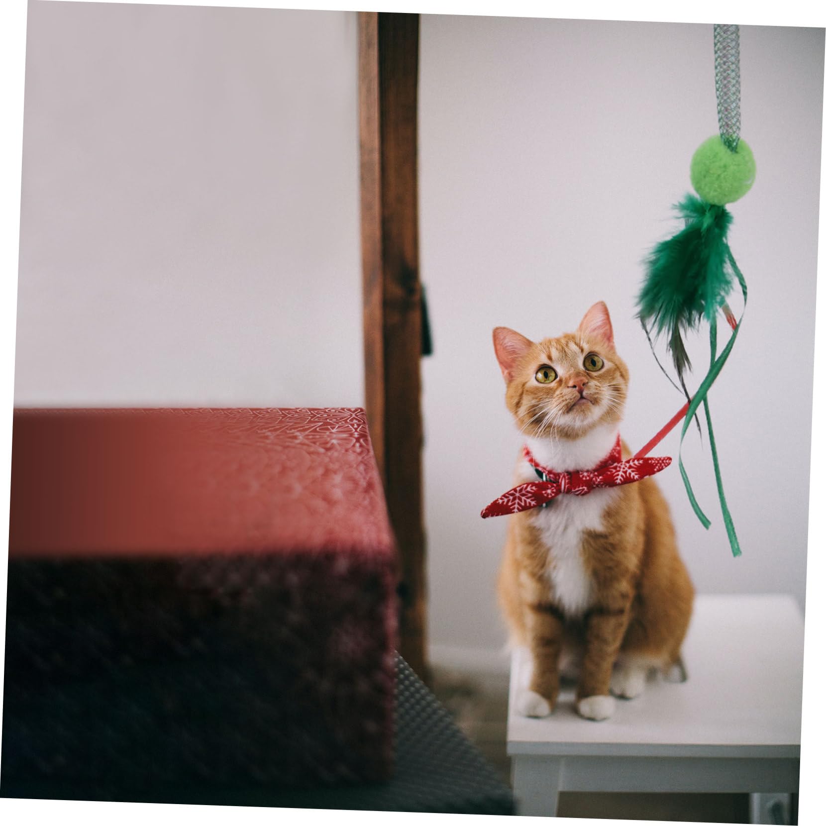 POPETPOP Lot De 3 Jouets Interactifs pour Chat Thème De Noël Clochette Et Jeu pour Chat 3 Pièces X 3