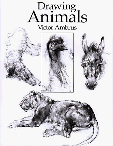 Drawing Animals Drawing Animals