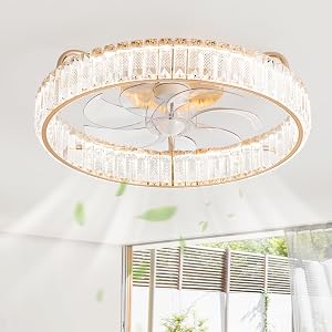 20 Small Caged Ceiling Fan with Light Low Profile Flush Mount Enclosed Ceiling Fan 6 Speeds 3CCT Dimmable