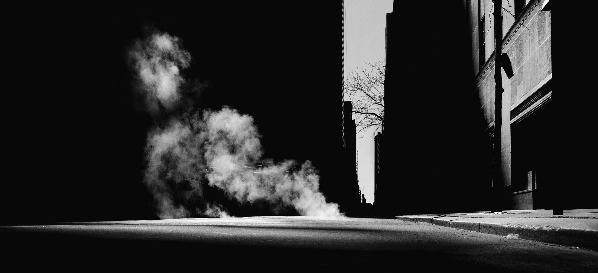 New York. Metaphysics of the Urban Landscape [Lingua inglese] [Lingua Inglese]
