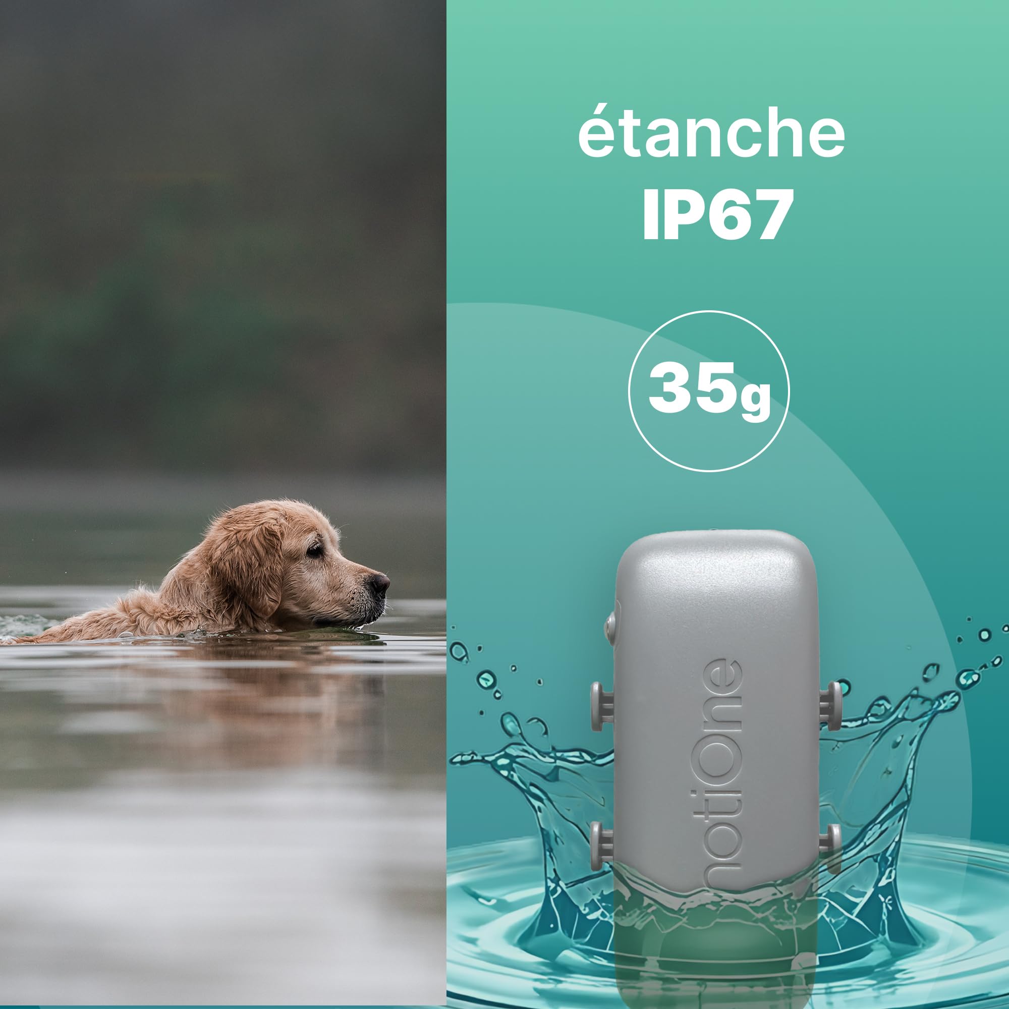 Traceur GPS Pet Plus sans Abonnement, Chien & Chat, géofence | Suivi d'activité et Roaming Gratuit, Etanche