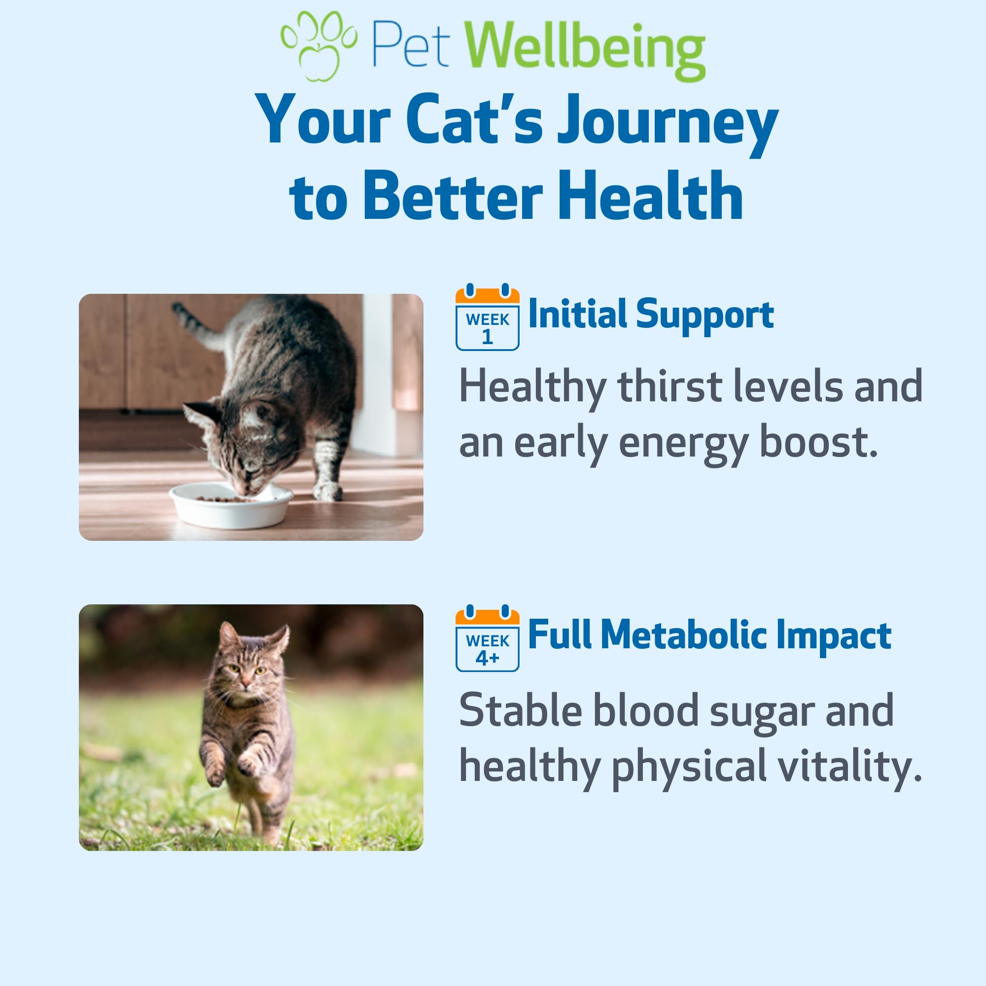 Pet Wellbeing Blood Sugar Gold for Cats - Holistic Support for Healthy Blood Sugar Levels, Insulin Stabilization & Normal Pancreatic Function - NASC Certified & Vet-Formulated - 2 oz Liquid