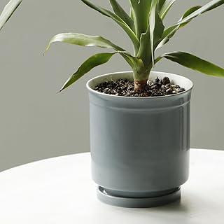 日本製 植木鉢 受け皿付 10.5x11.5cm 3.5号 波佐見焼 (グレー)