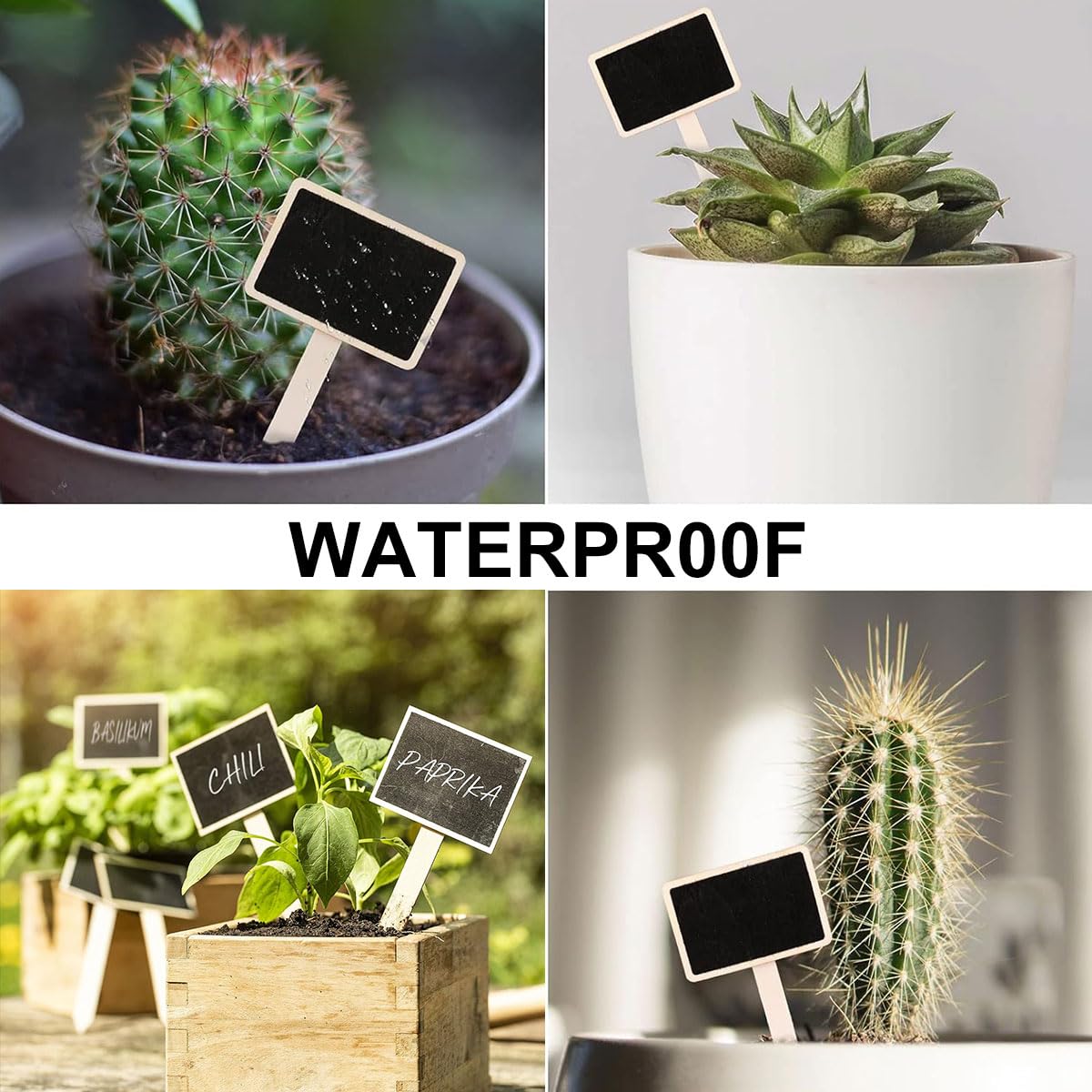 20 Etichette Per Piante In Legno - Con Pennarello | Per Semi, Erbe, Fiori E Orto - Foto 6