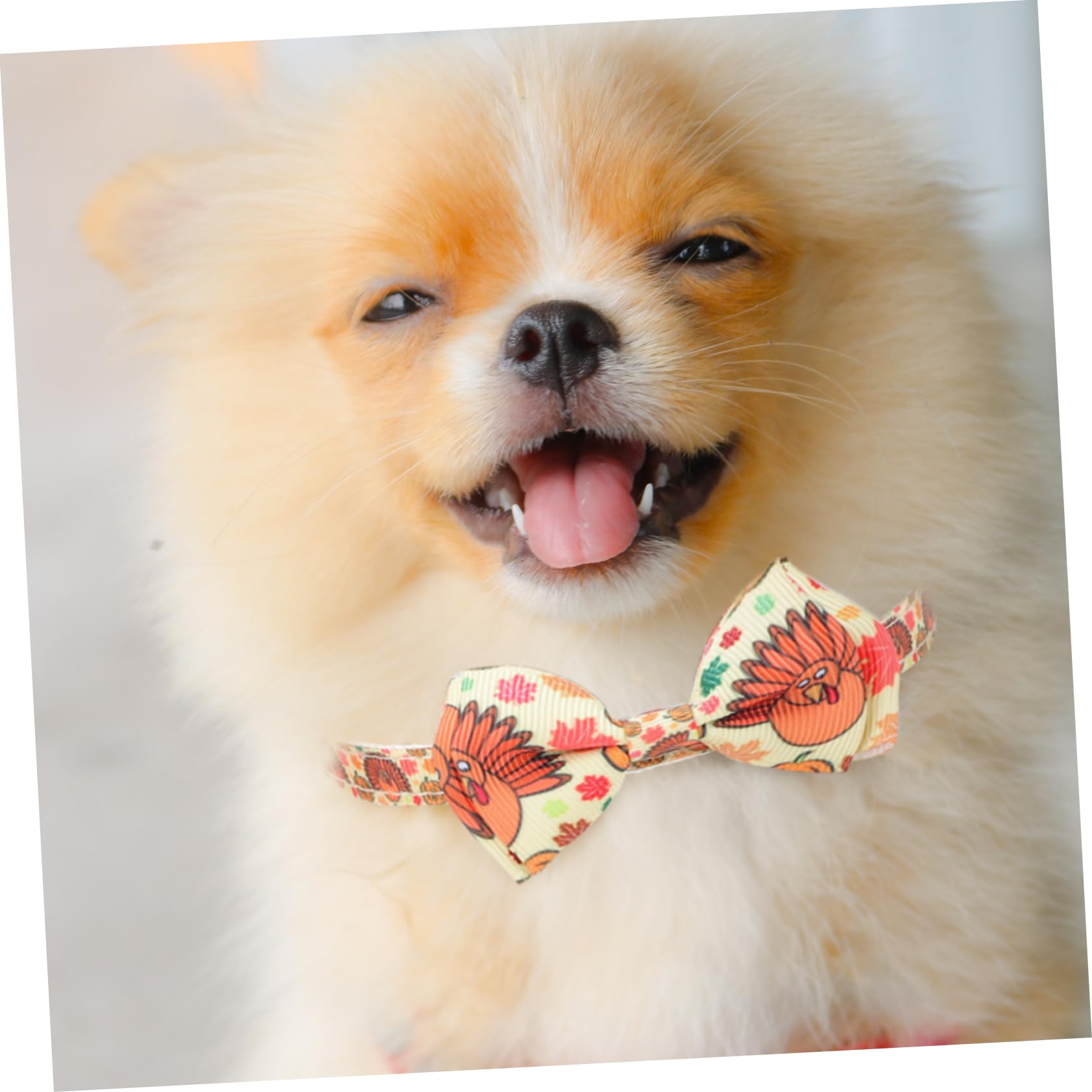 Angoily 10pezzi Collari Per Cani e Gatti Tema Ringraziamento Con Motivo Di Tacchino e Zucca Collari Regolabili Per Animali Domestici Accessori Per Feste