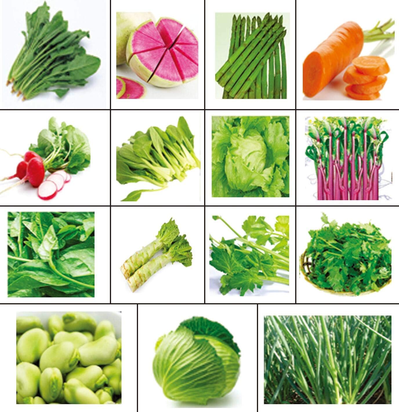 Golden autumn farm-New Season Organic Vegetable Seeds Set of 15
