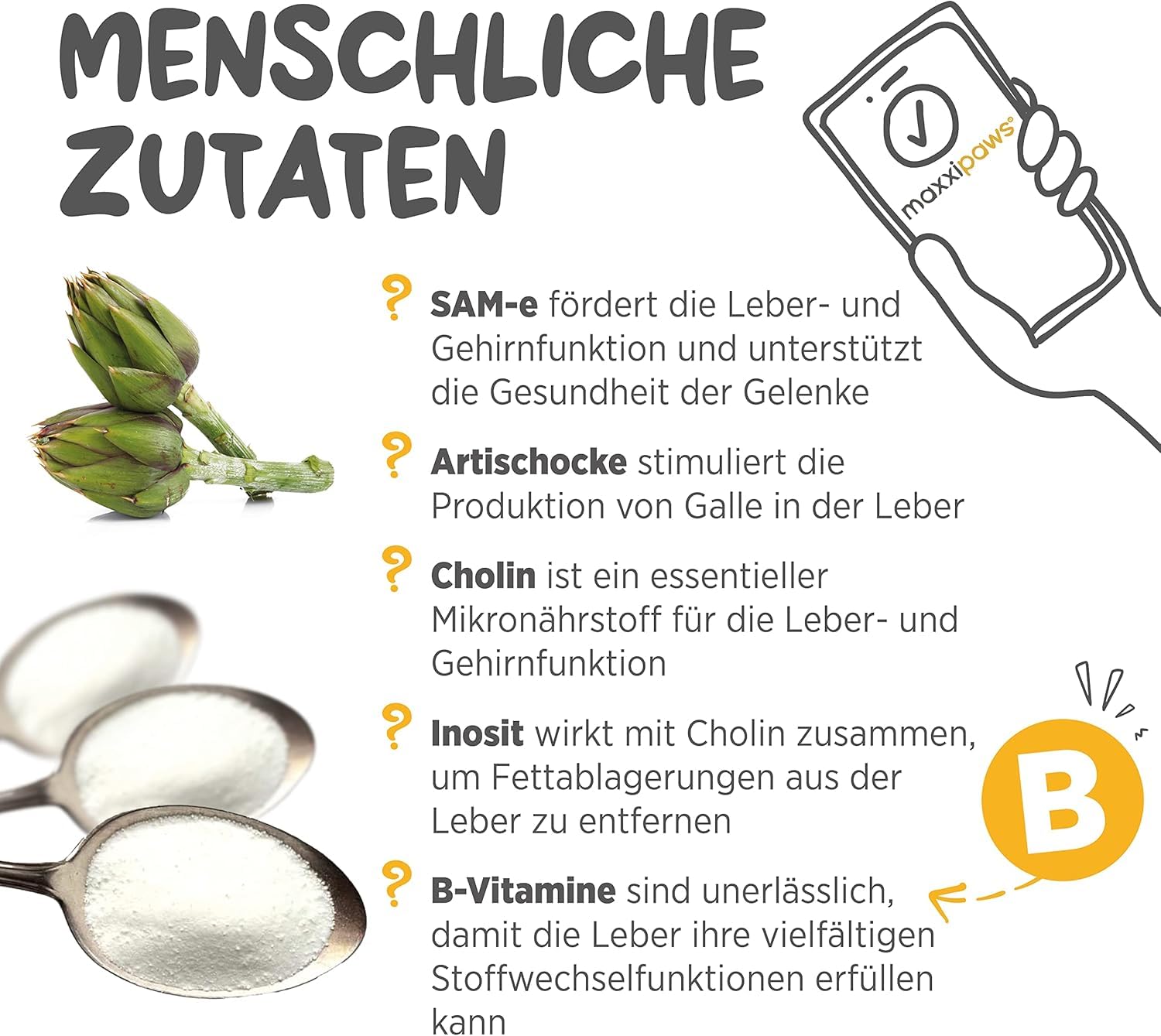 maxxipaws maxxiSAMe Fortschrittliches SAM-e Pulver zur Unterstützung von Leber, Gehirn und Gelenken für Hunde, 150g