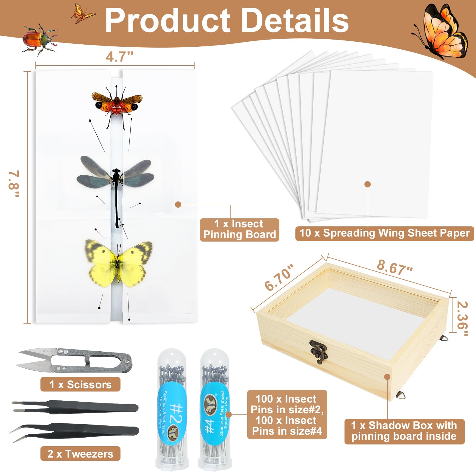 Making Insect Specimen Tools Kit, (Insect Pins, Insect Shadow Box, Insect Pinning Board, Wings Pressing Paper, Tweezers, Scissors), Insect Specimen Collection Display for Bug Hobbyist/Biology Projects