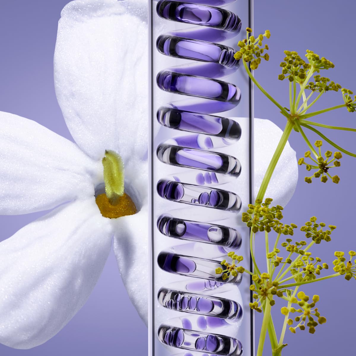 Melvita - Trattamenti viso antietà globali - Nectar Sublime - Per una pelle nutrita e più compatta - Per un contorno viso ridefinito - Per tutti i tipi di pelle - Prodotti in Francia