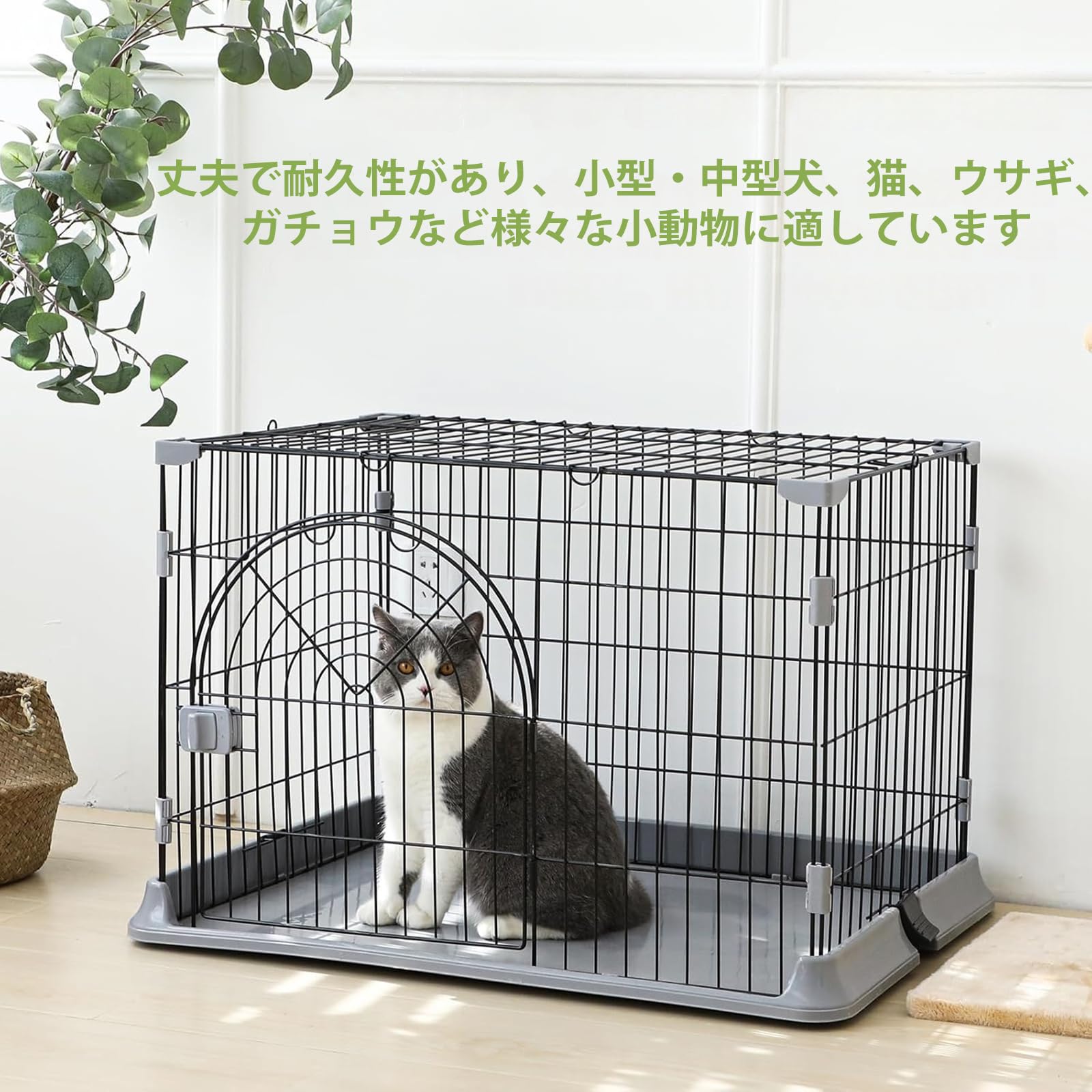 Amazon.co.jp: Rshtong 犬 ケージ 犬用サークル ペットケージ 犬