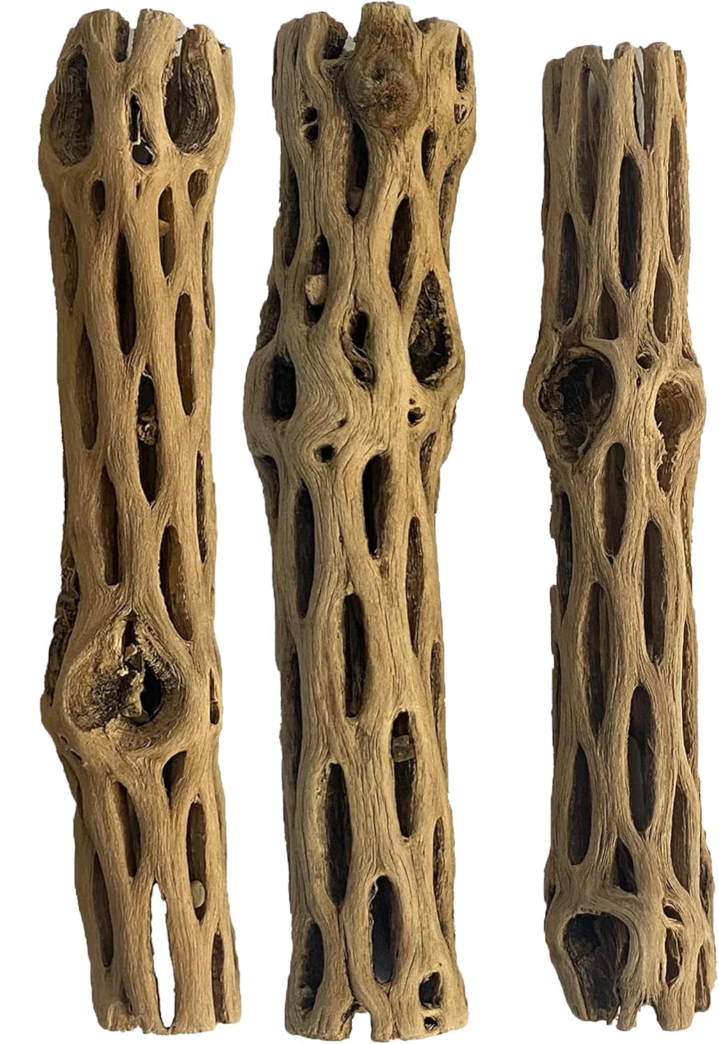 VIRS PRO Natural Cholla/Choya Wood 3 Pieces 6” for Shrimp Habitat and Food Treat Hermit Crabs Plecos Aquarium Decoration Lowers pH Hideouts and Chew Toys Reptiles Thorn Free Dried Organic Fish