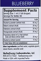 Vista 2 de Soporte de memoria (arándano) 2 OZ