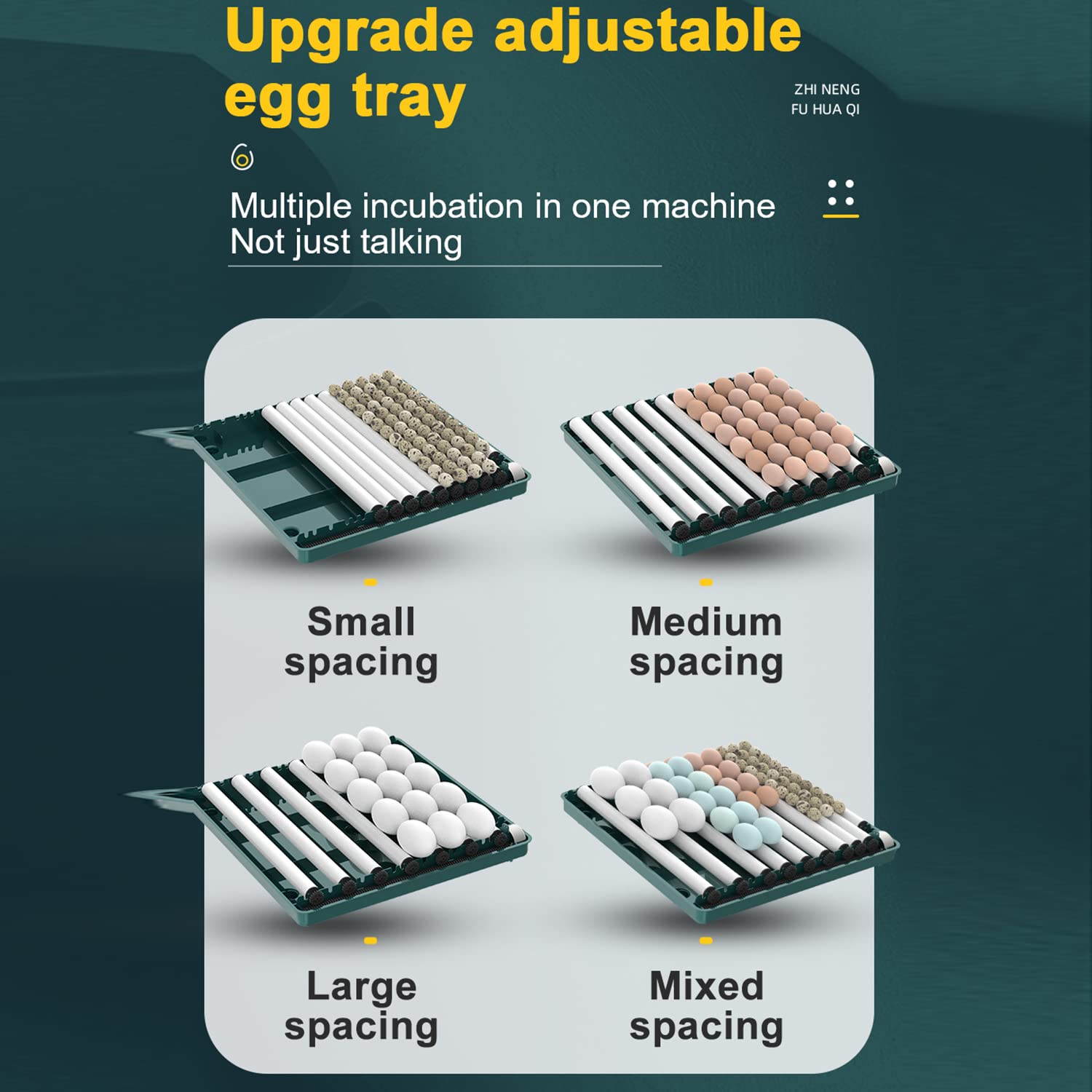 Intelligente Wachtel Brutmaschine - 32 Eier Kapazität - Automatische Wendung & Feuchtigkeitskontrolle