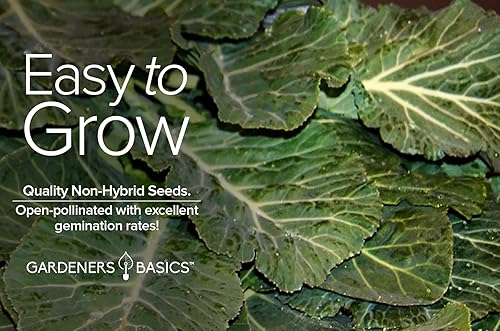 Miniatura 3 de Gardeners Basics, Semillas de col para plantar, variedad de verduras sin OMG del sur de Georgia, semillas de 0.04 oz (1 gramo), ideales para