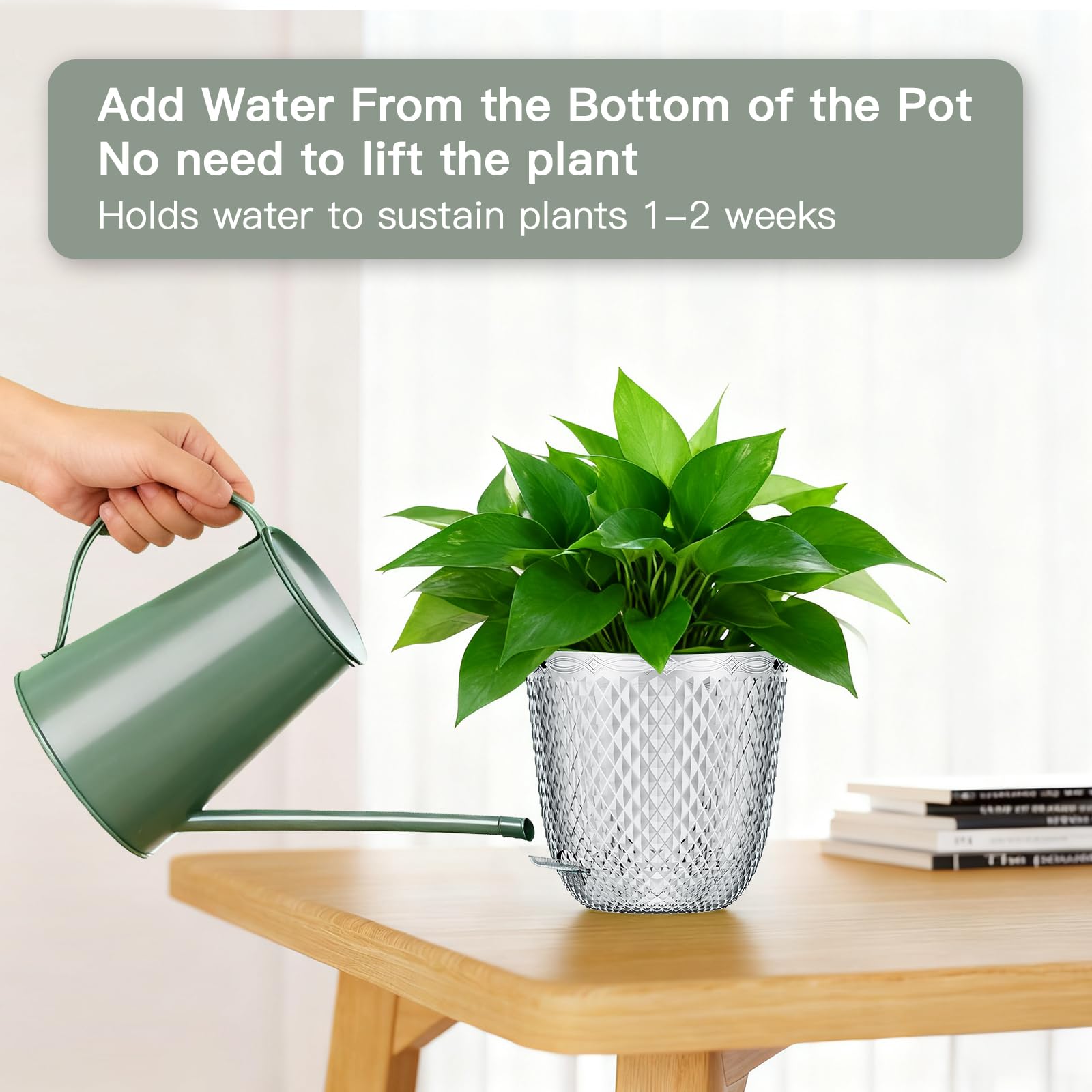 QCQHDU Lot de 2 pots de fleurs suspendus à arrosage automatique de 18 cm pour plantes d'intérieur avec trous de drainage et 3 chaînes de crochets pour jardin et maison (transparent)