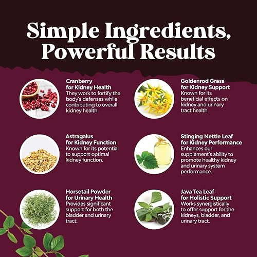Miniatura 4 de Suplemento avanzado de apoyo renal, limpieza renal, desintoxicación y reparación, cápsulas de extracto de arándano con Uva Ursi, ortiga y astrágalo