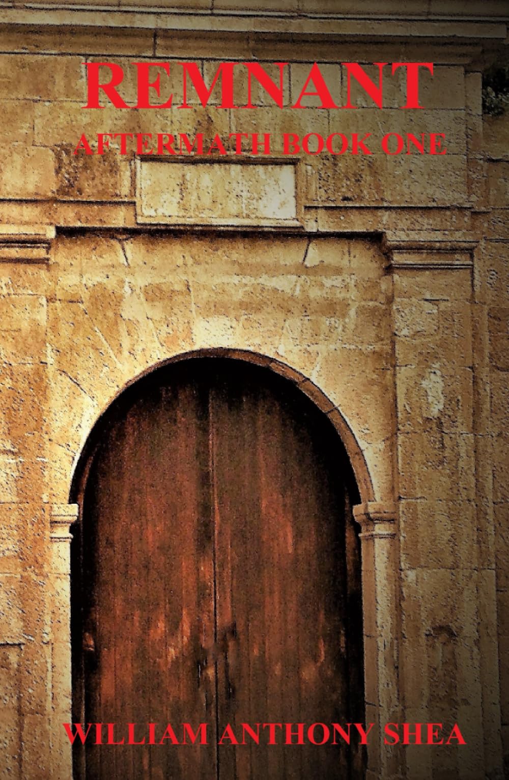 Remnant: Aftermath Book One